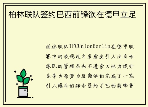 柏林联队签约巴西前锋欲在德甲立足